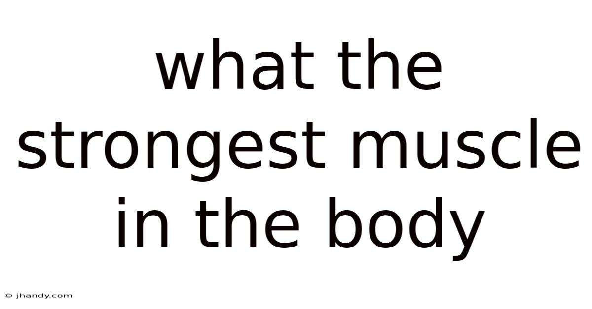 What The Strongest Muscle In The Body